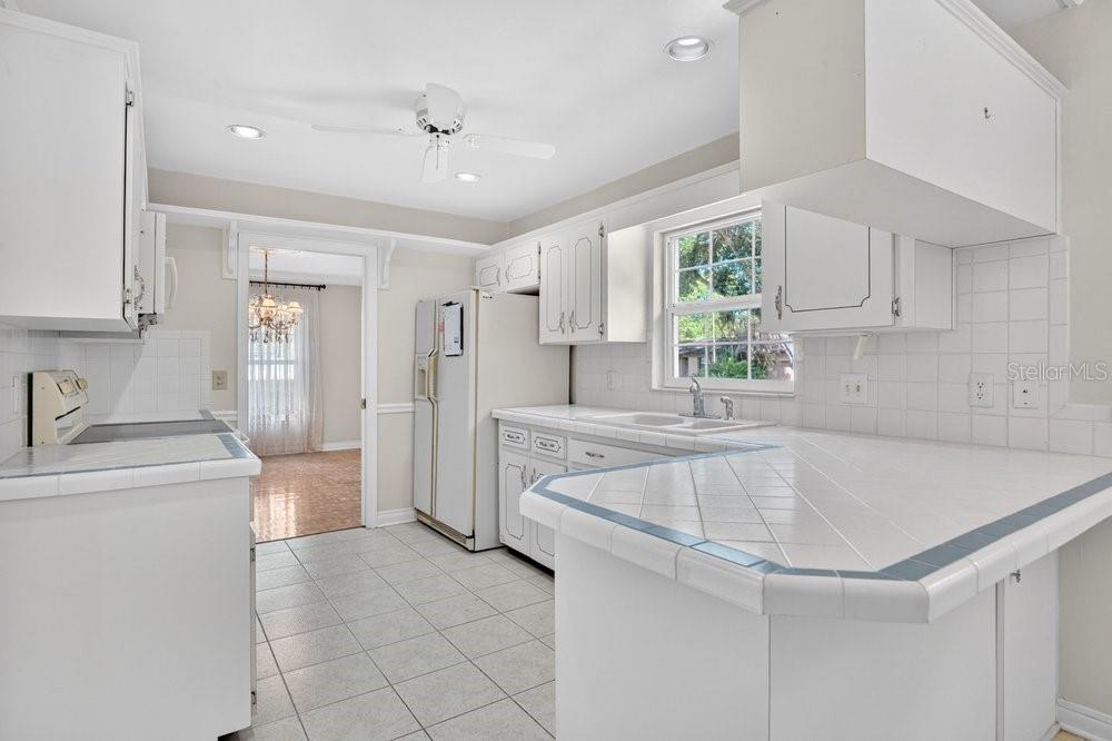 206 CATTAIL — photo 12