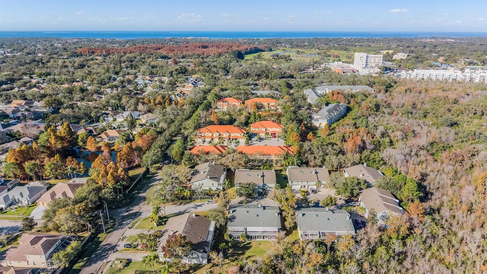 103 KATHLEEN CT — photo 37