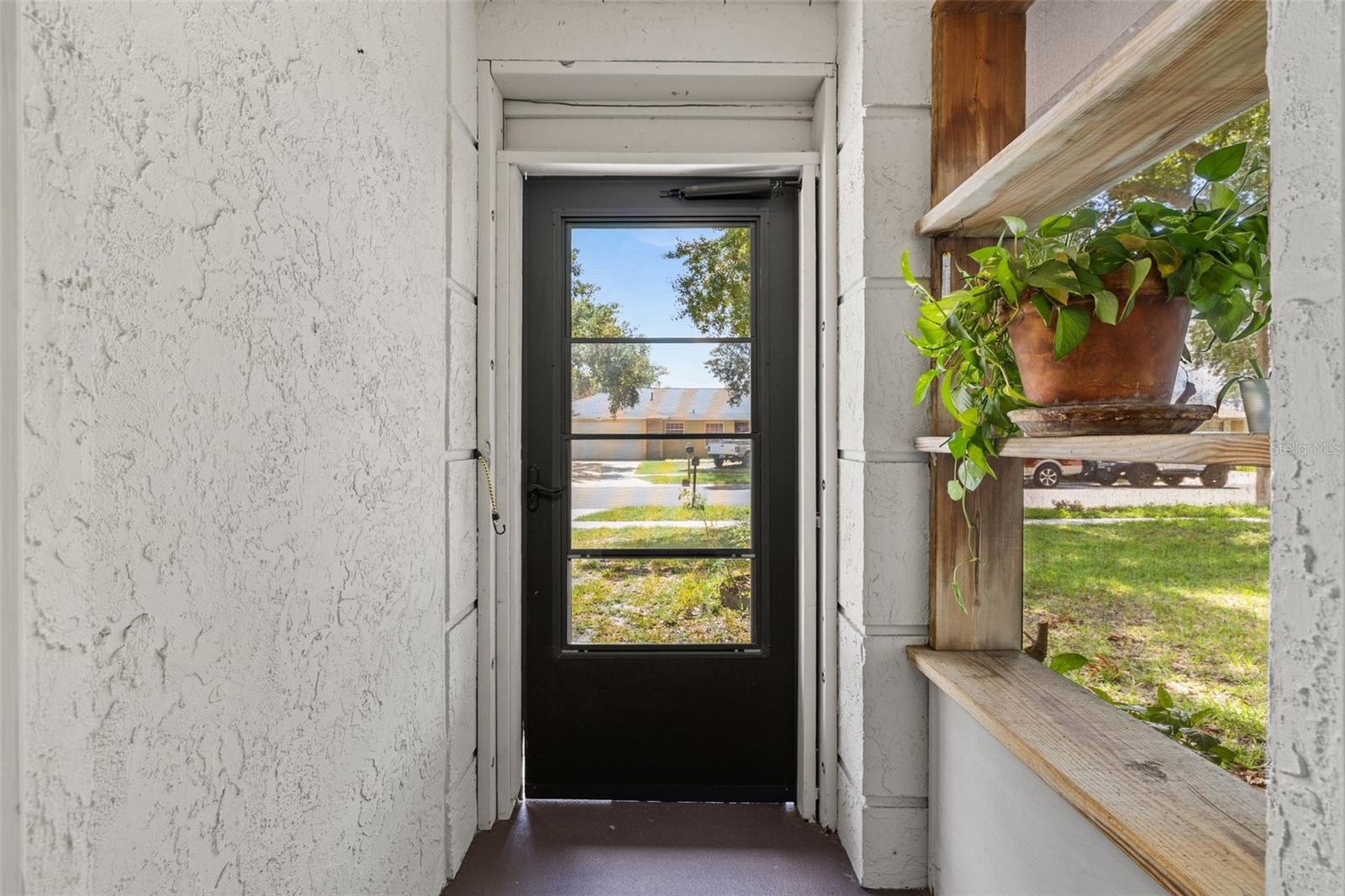 12242 PANTAR — photo 2