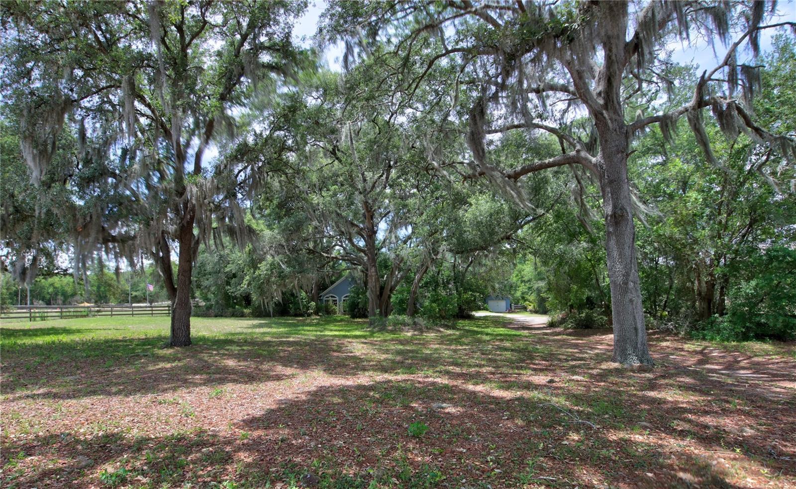 34847 COUNTY ROAD 439 — photo 2