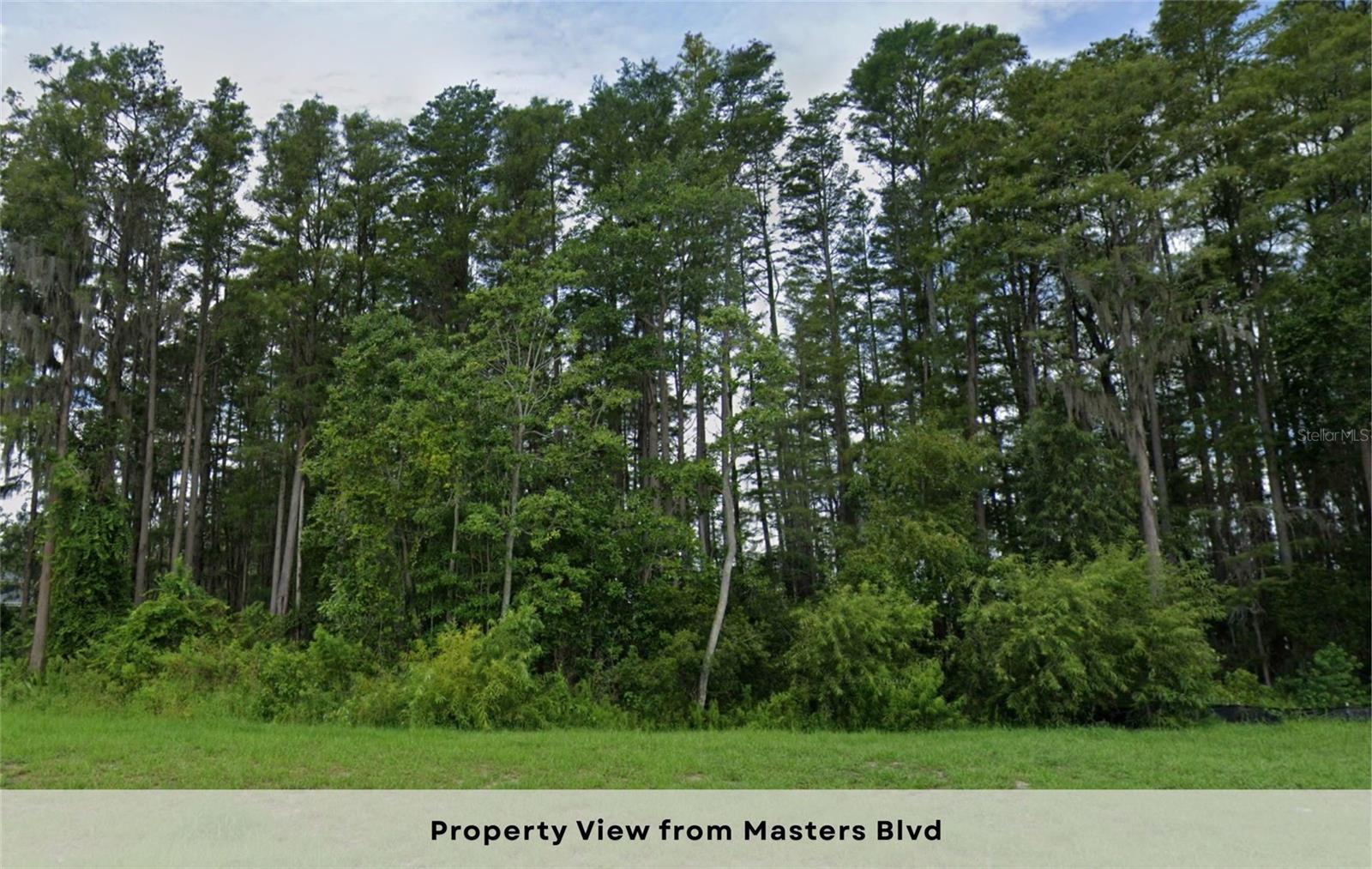 5938 MASTERS — photo 12