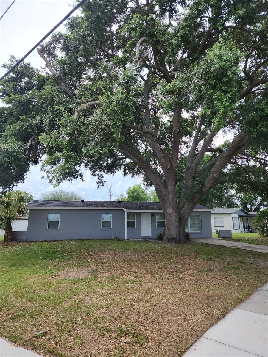7218 MANDARIN — photo 2