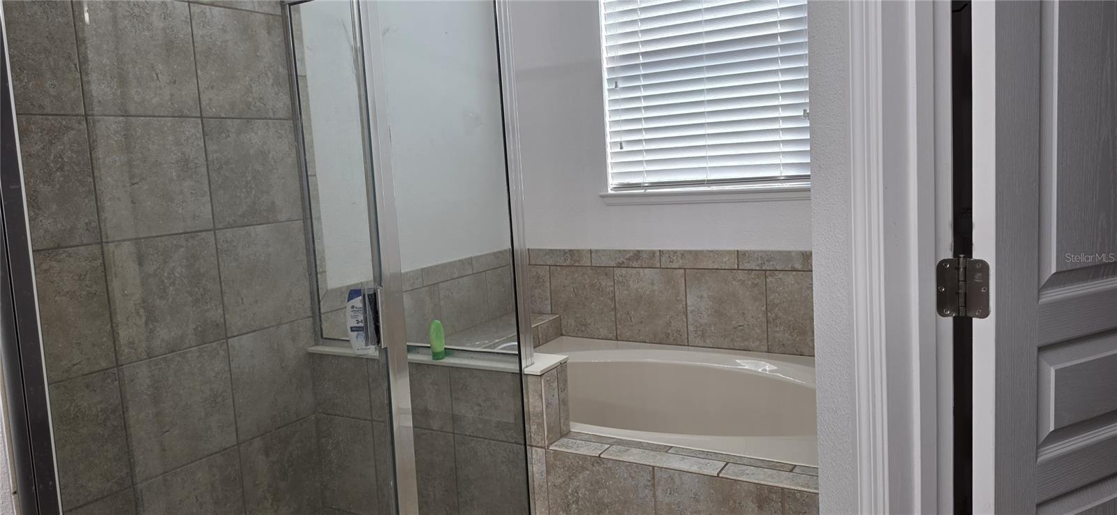 2911 ORANGE HAVEN — photo 12