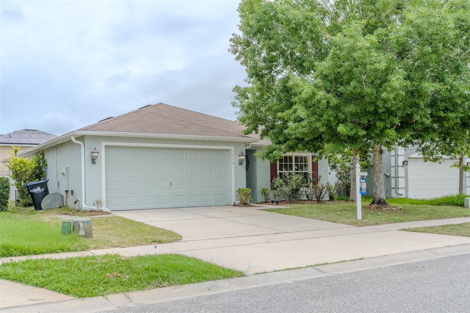 15641 GALBI — photo 2
