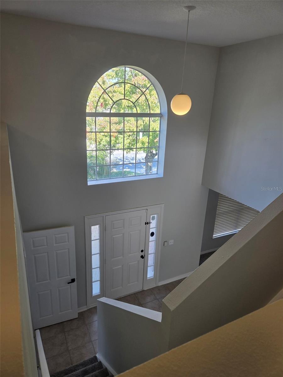 3001 MANDOLIN — photo 2