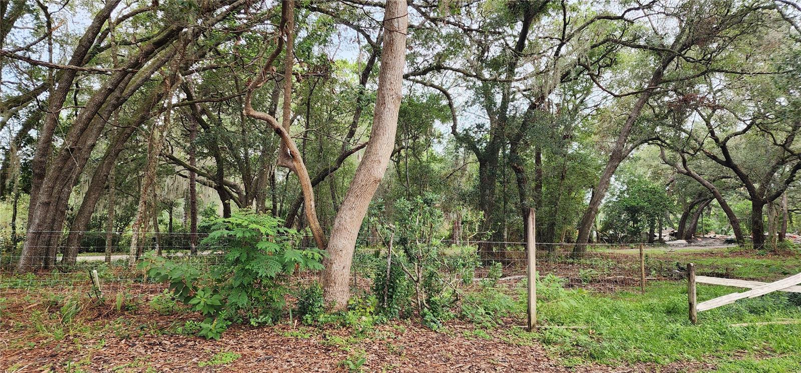 711 Sunset Ave, Orange City, FL 32763 — 1 Bed 1 Bath for Sale at $850,000