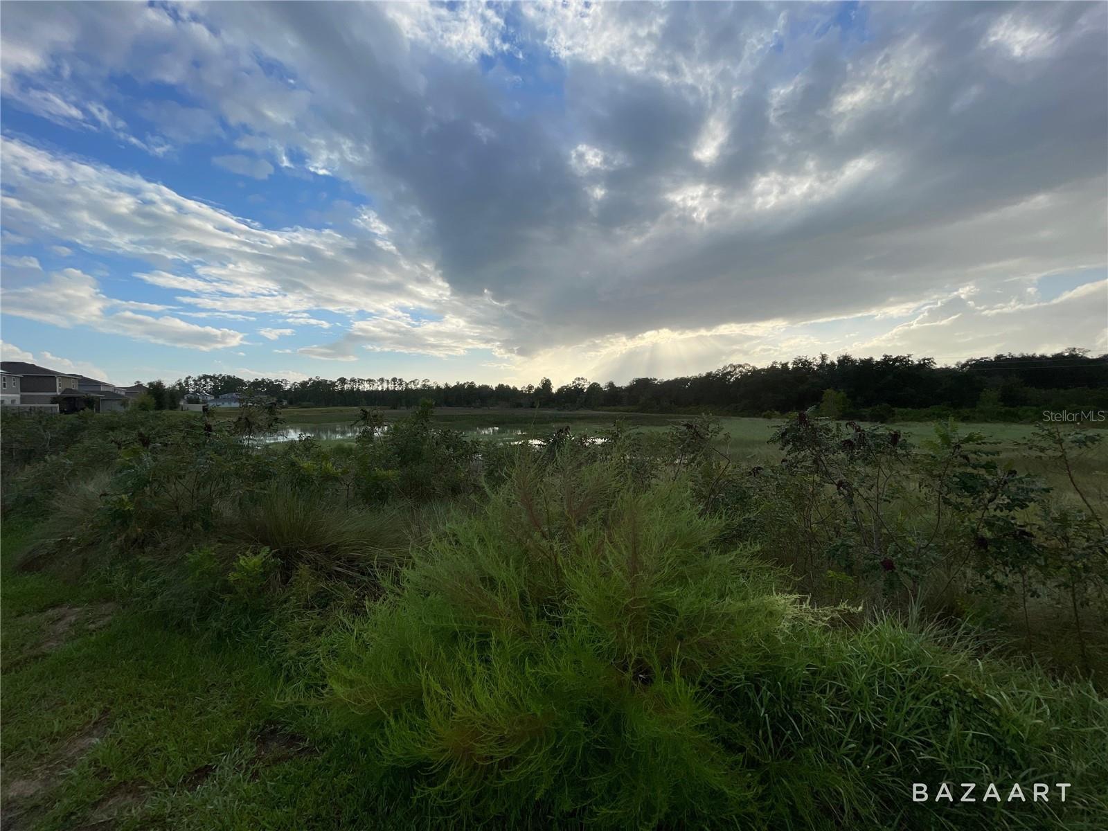 1329 SAWGRASS HAMMOCK — photo 6